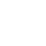Step Into Swim logo